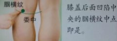 36个艾灸穴位绝穴,个个都实用!