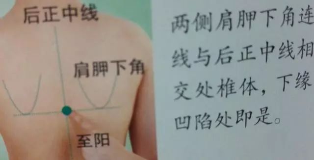 至阳