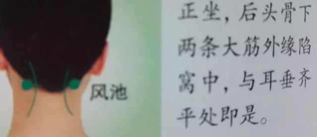 风池