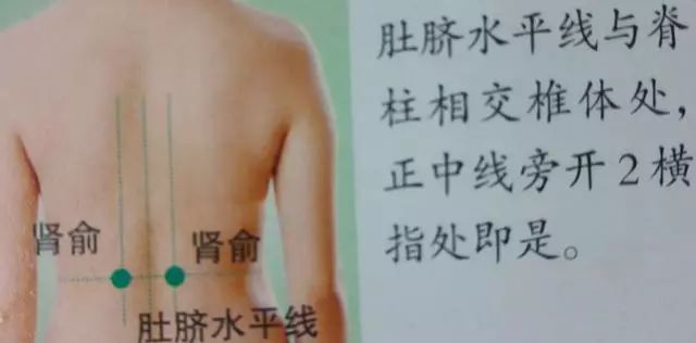 肾俞