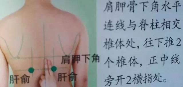 肝俞