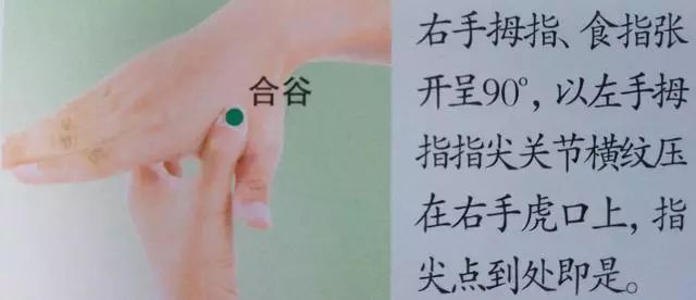 合谷