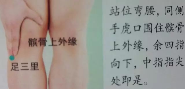 足三里