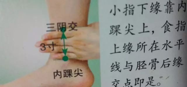 三阴交