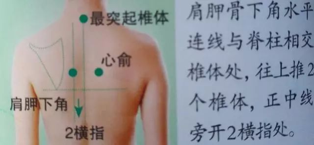 心俞