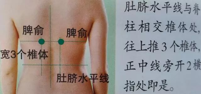脾俞