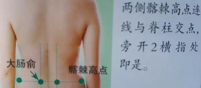 大肠俞