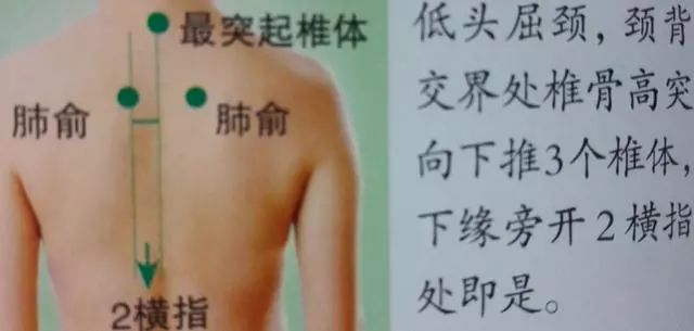 肺俞
