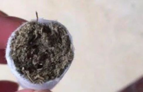 假艾条