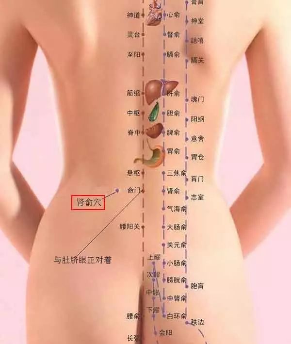 阳虚体质的表现及调养