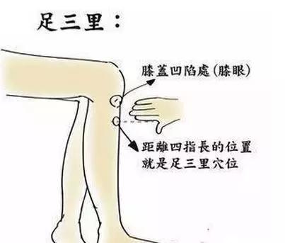 通经活络