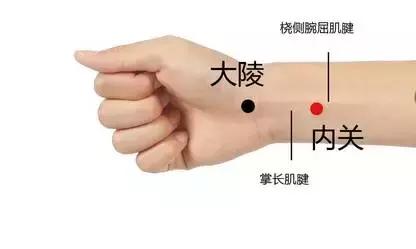 内关穴