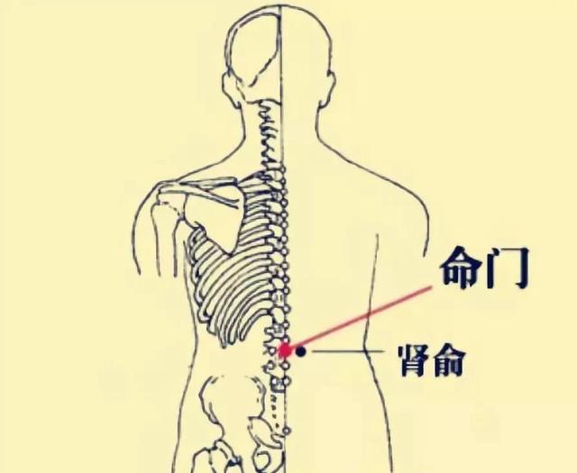 命门穴