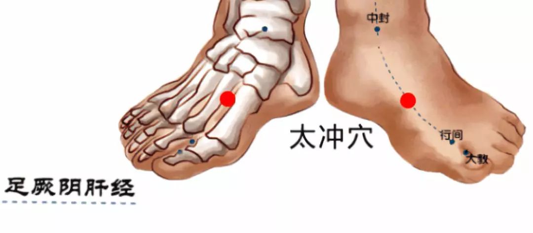 太冲穴