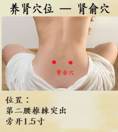 肾俞