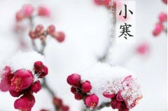 小寒节气艾灸暖身很重要