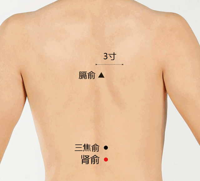 肾俞穴