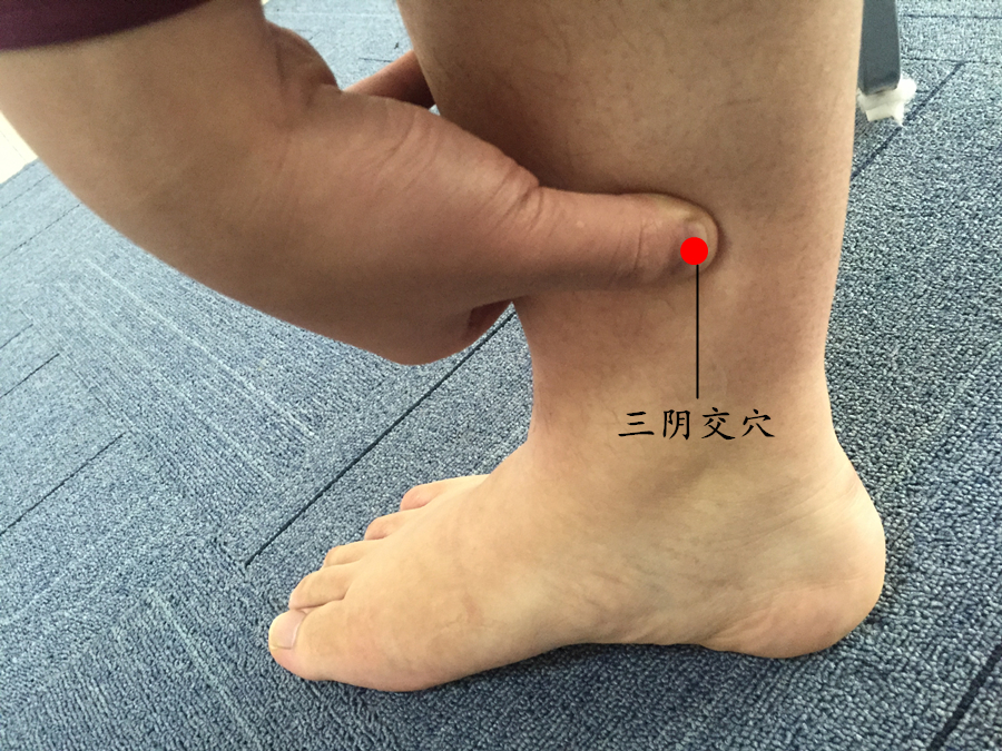 三阴交穴