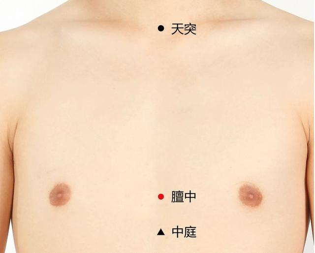 催乳通乳穴位