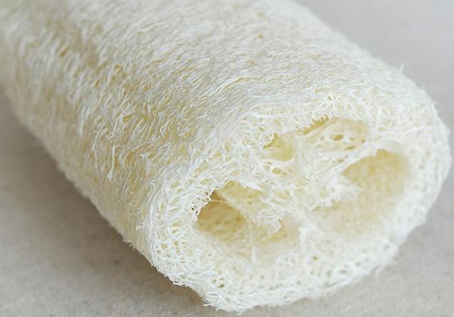 丝瓜络