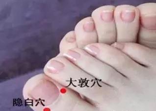 隐白穴