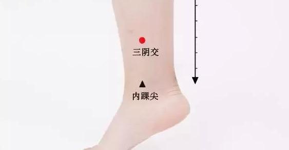 三阴交