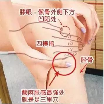 艾灸的作用