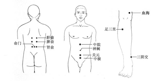 艾灸常用穴位