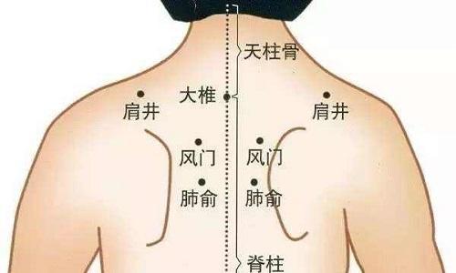 大椎穴