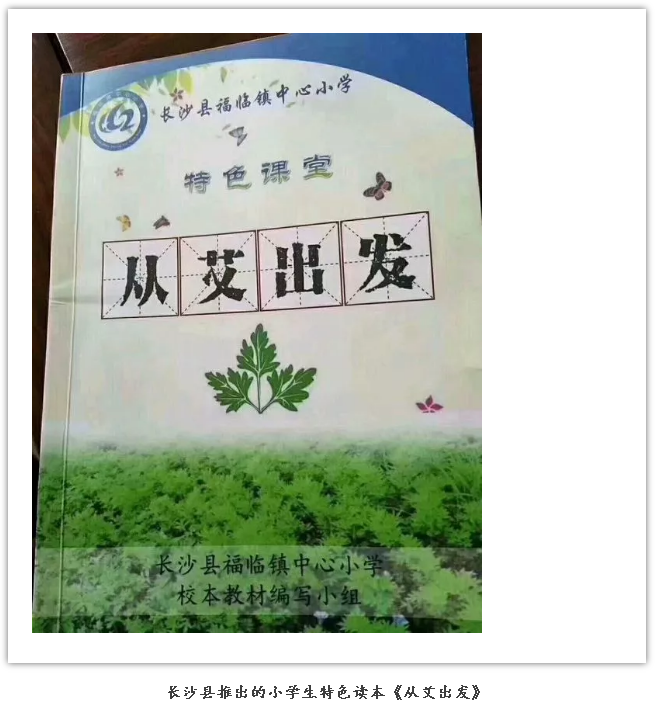 艾灸文化进校园，全民艾灸养生时代即将到来！