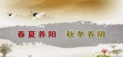 秋季艾灸养生艾灸培补元气