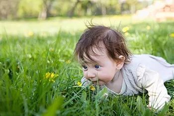 小孩子湿气重艾条怎么艾灸?湿气艾灸哪里?