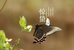 春天艾灸养生保健的穴位