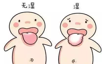 湿气重怎么调理