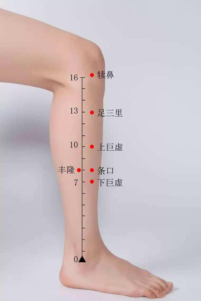 足三里