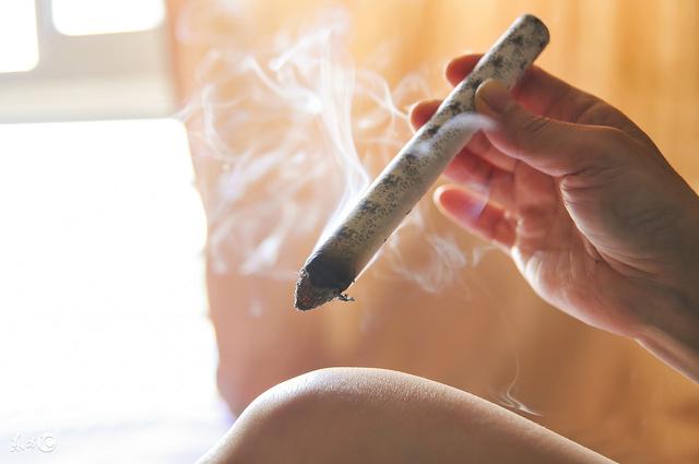 艾灸的功效与作用