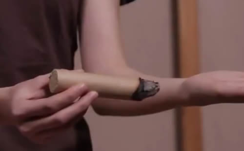 什么是清艾条纯艾条药艾条陈艾条?