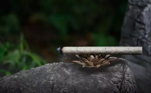 灸