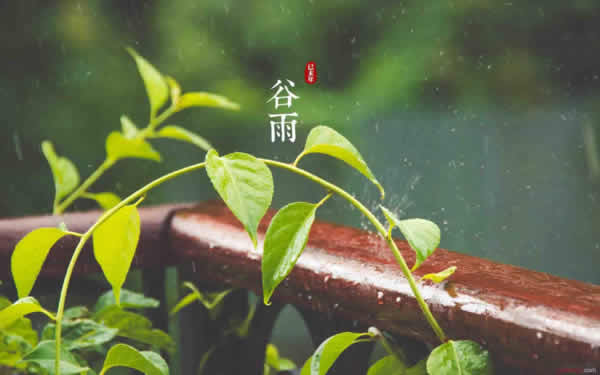 谷雨时节湿缠身,此时艾灸除湿最养生!