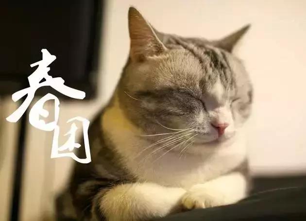春分平分了昼夜寒暑,艾灸平衡了身体阴阳！