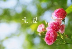 立夏艾灸补阳气,比平时强100倍!