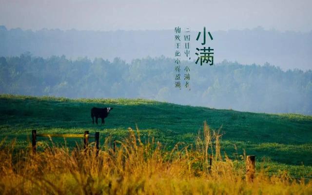 小满节气灸,艾灸清暑祛湿防风疹!