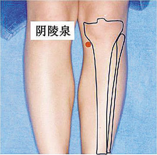 艾灸的作用和禁忌