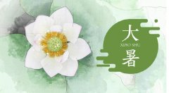 大暑艾灸祛暑天湿气,补人体阳气!