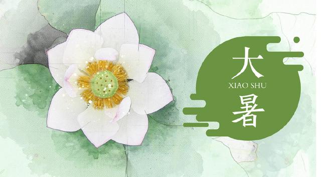 大暑艾灸祛暑天湿气,补人体阳气!