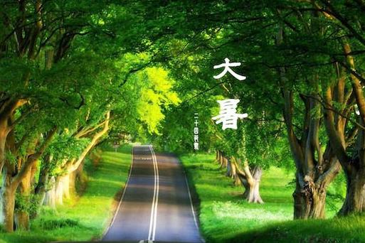 大暑艾灸