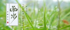 雨水节气艾灸,宜疏肝理气健脾祛湿