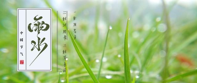 雨水节气艾灸,宜疏肝理气健脾祛湿