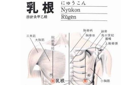 艾灸的作用和禁忌