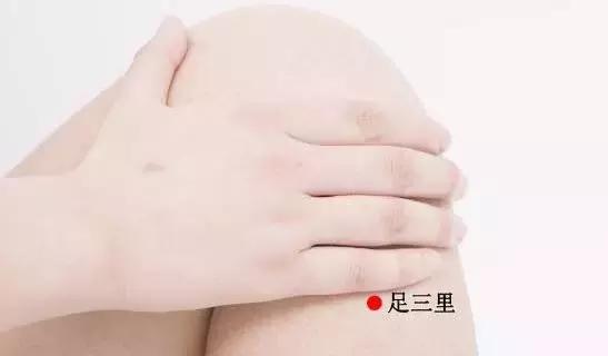 足三里
